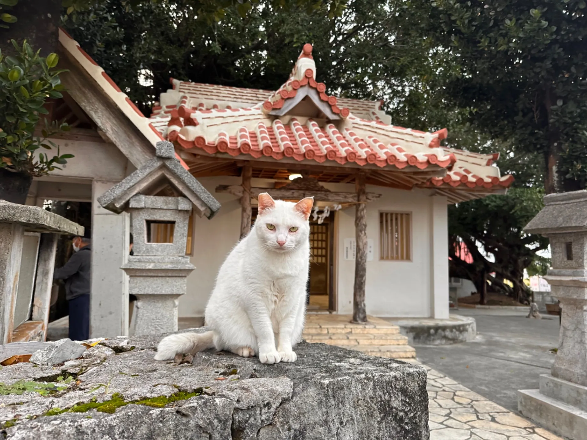 ㊗️2024年　新年のごあいさつ